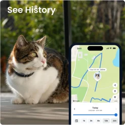GPS kissalle Tractive CAT 6 Mini