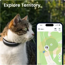 GPS kissalle Tractive CAT 6 Mini
