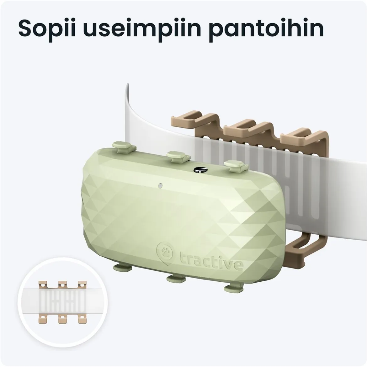 GPS koiralle Tractive XL