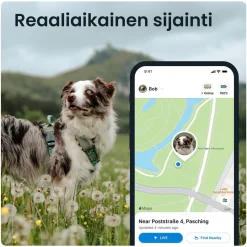 GPS koiralle Tractive XL