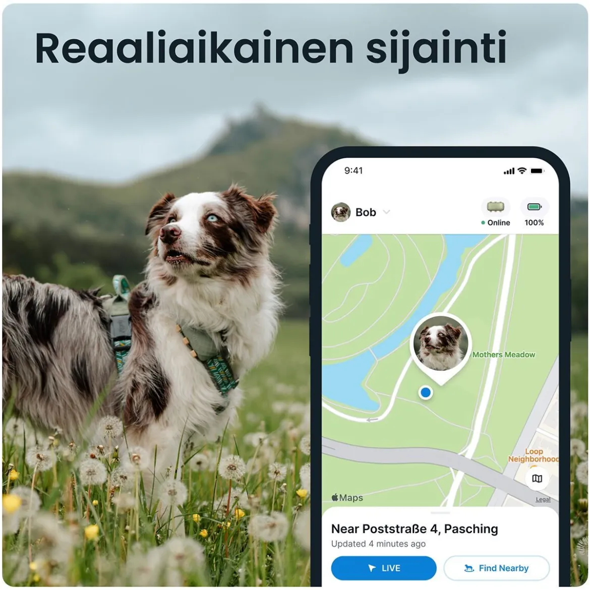 GPS koiralle Tractive XL