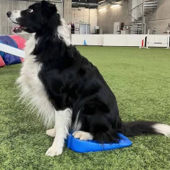 Gymnic Moving Sit sininen