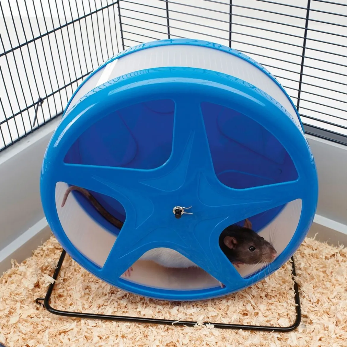 Hamsterin juoksupyörä Savic Orbital, L