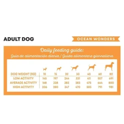 Harper and Bone Dog Adult Medium/Large Ocean Wonders