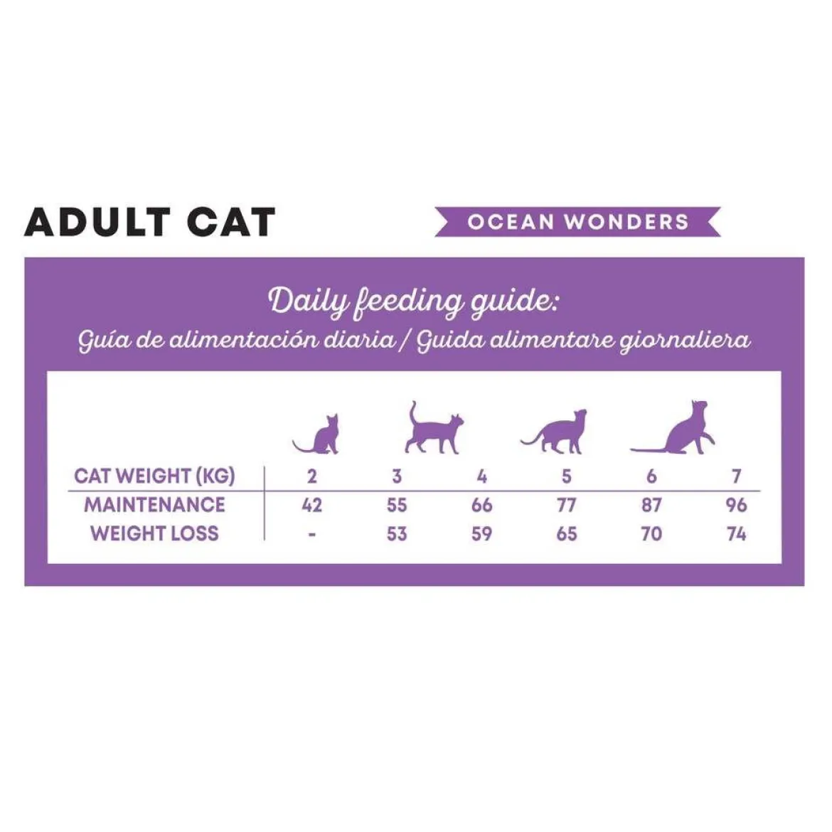 Harper & Bone Cat Adult Ocean Wonders