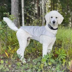 Heijastinliivi koiralle Icepeak Pet Brightly
