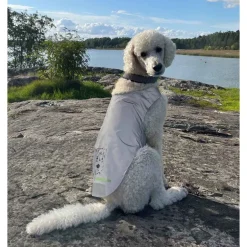 Heijastinliivi koiralle Icepeak Pet Brightly