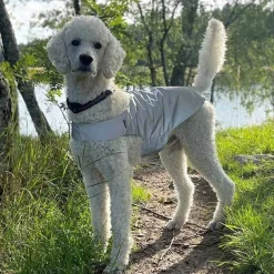 Heijastinliivi koiralle Icepeak Pet Brightly