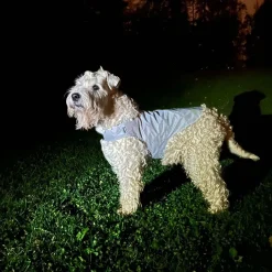 Heijastinliivi koiralle Icepeak Pet Brightly