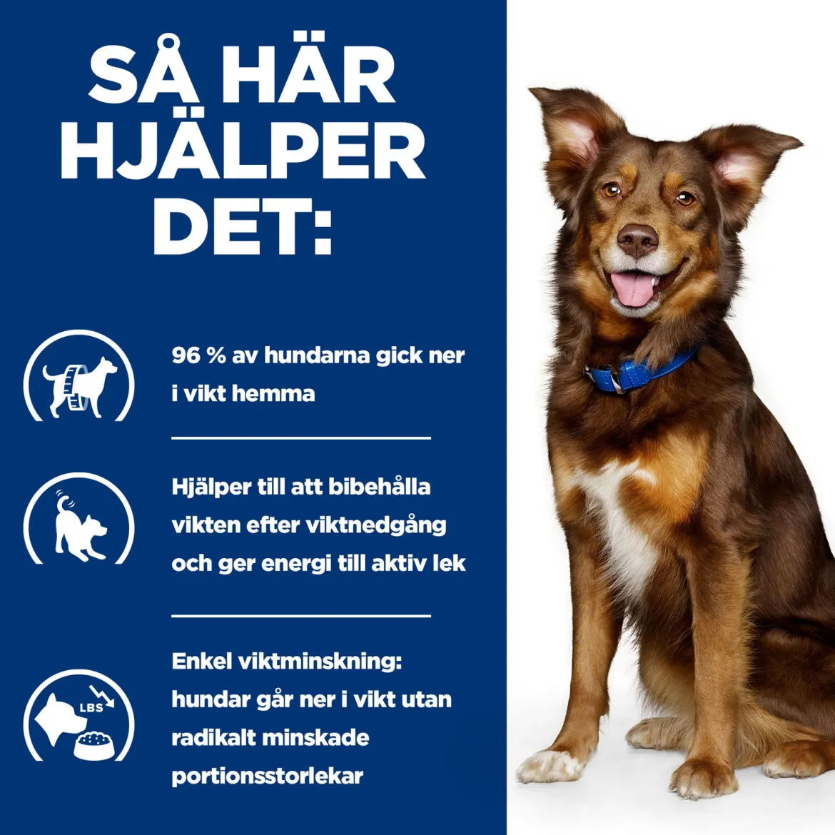 Hill's Prescription Diet Canine Metabolic Weight Loss & Maintenace Chicken 2x12 kg