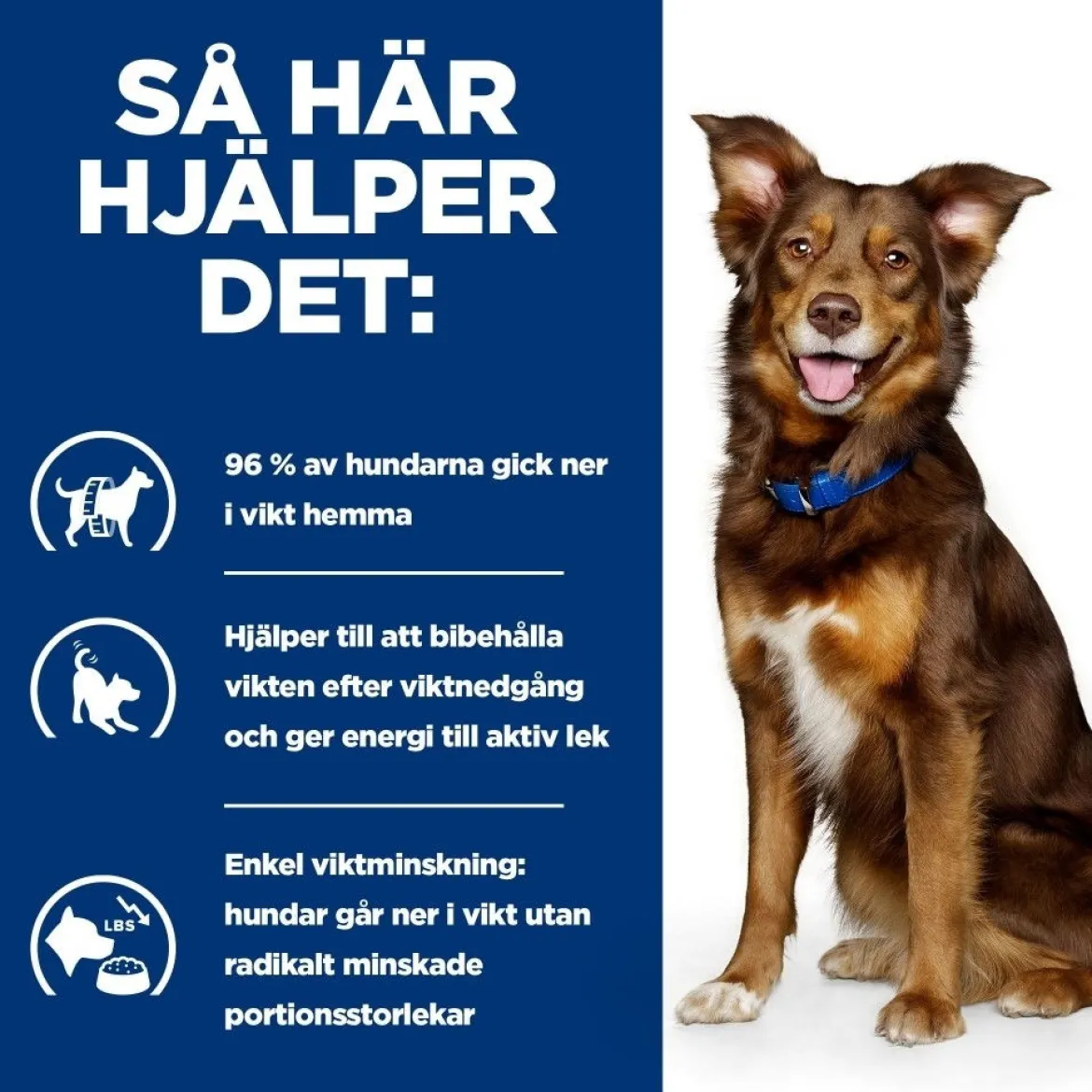 Hill's Prescription Diet Canine Metabolic Weight Loss & Maintenace Chicken 2x12 kg