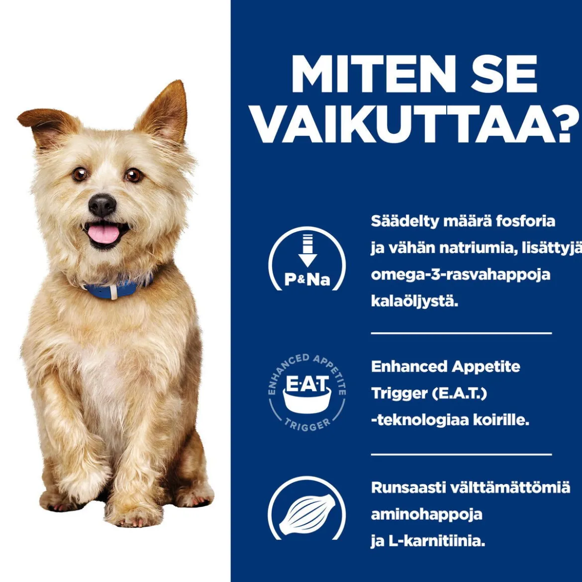 Hill's Prescription Diet Canine k/d Kidney Care Chicken 354 g