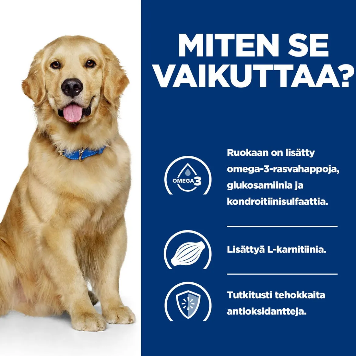 Hill's Prescription Diet Canine j/d Mobility 370 g