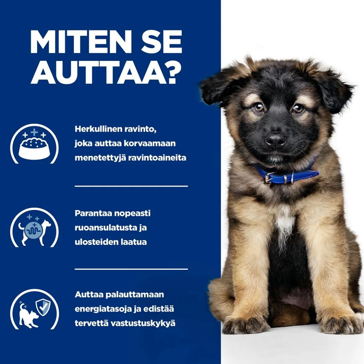 Hill's Prescription Diet Puppy i/d wet