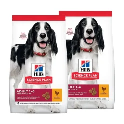Hills Science Plan Canine Adult Chicken