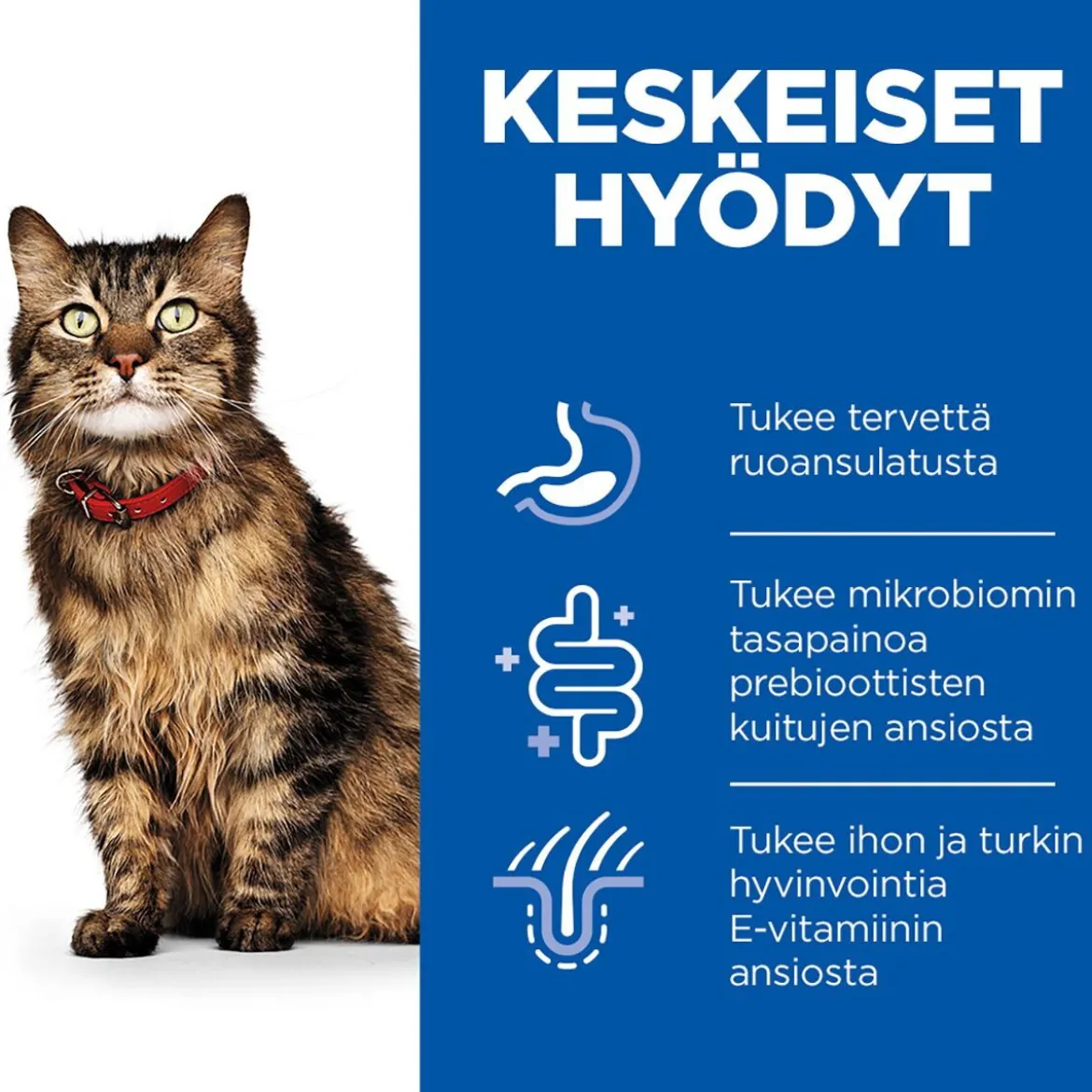 Hill's Science Plan Cat Adult Sensitive Stomach & Skin Turkey 12x85g