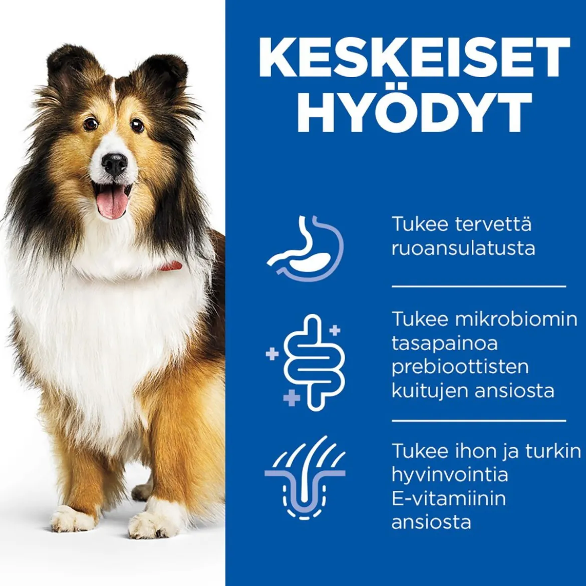 Hill's Science Plan Dog Sensitive Stomach & Skin Chicken & Vegetables 370g
