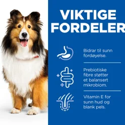 Hill's Science Plan Dog Sensitive Stomach & Skin Chicken & Vegetables 370g