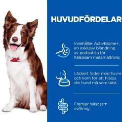 Hill's SP Canine Digestion Adult 1+