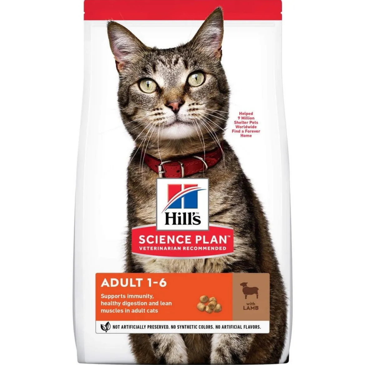 Hill's SP Feline Adult Lamb