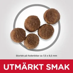 Hill's SP Mature 7+ Medium Chicken
