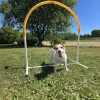 Hoopers Hoop PetEasy