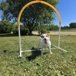 Hoopers Hoop PetEasy