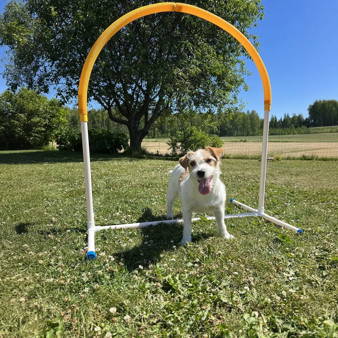 Hoopers Hoop PetEasy