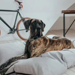 Hunter Dog Bed Lancaster Grey