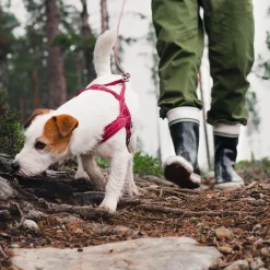 Hurtta Casual pehmustettu valjas, puolukka