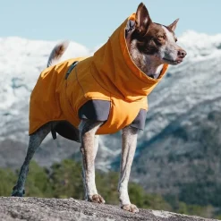 Hurtta Expedition parka tyrni