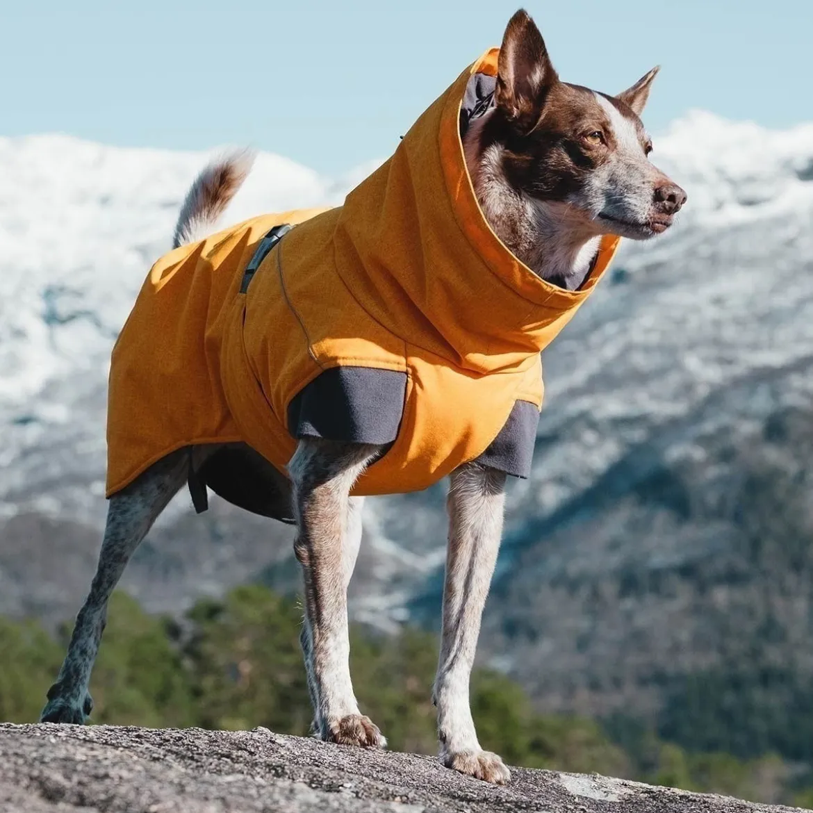 Hurtta Expedition parka tyrni