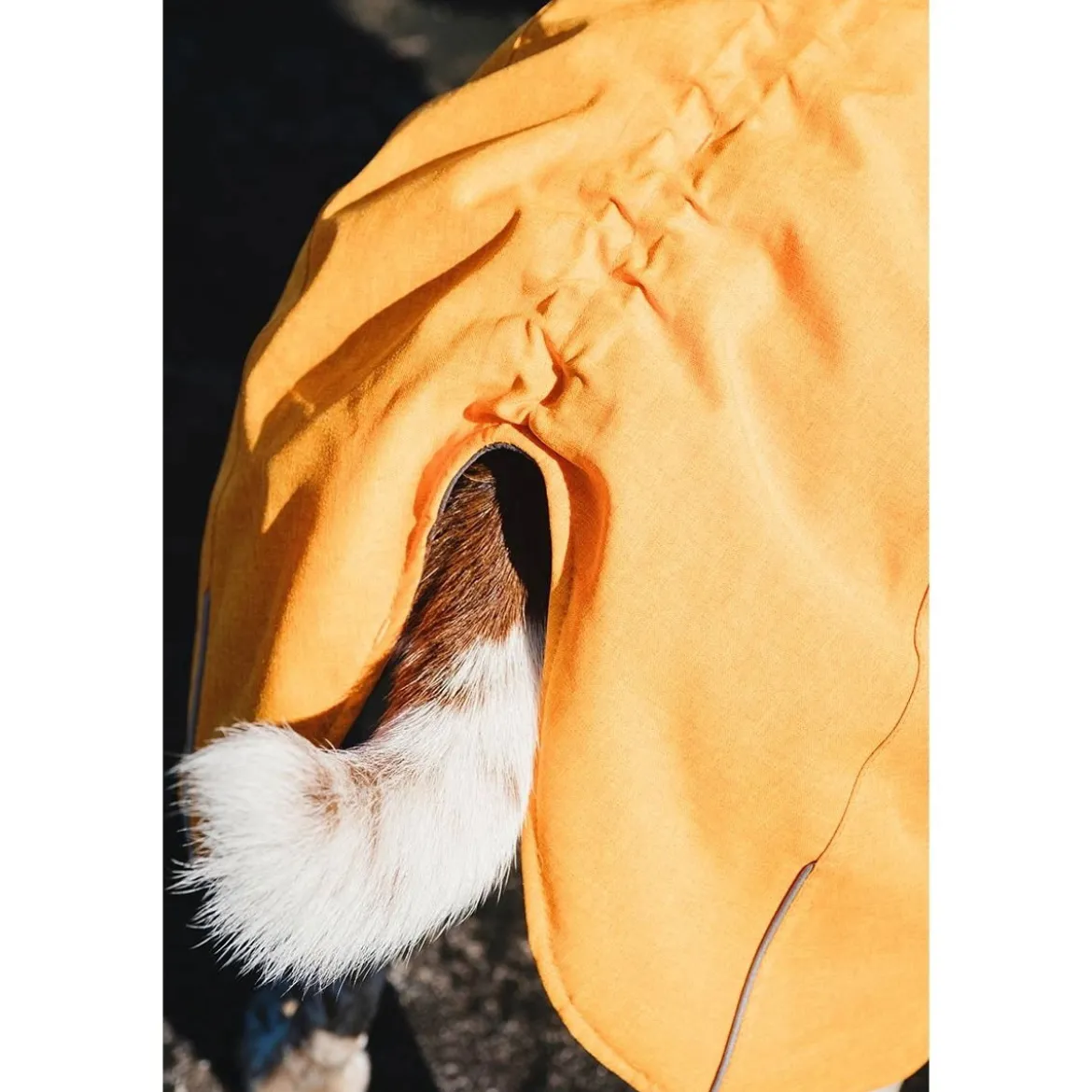Hurtta Expedition parka tyrni