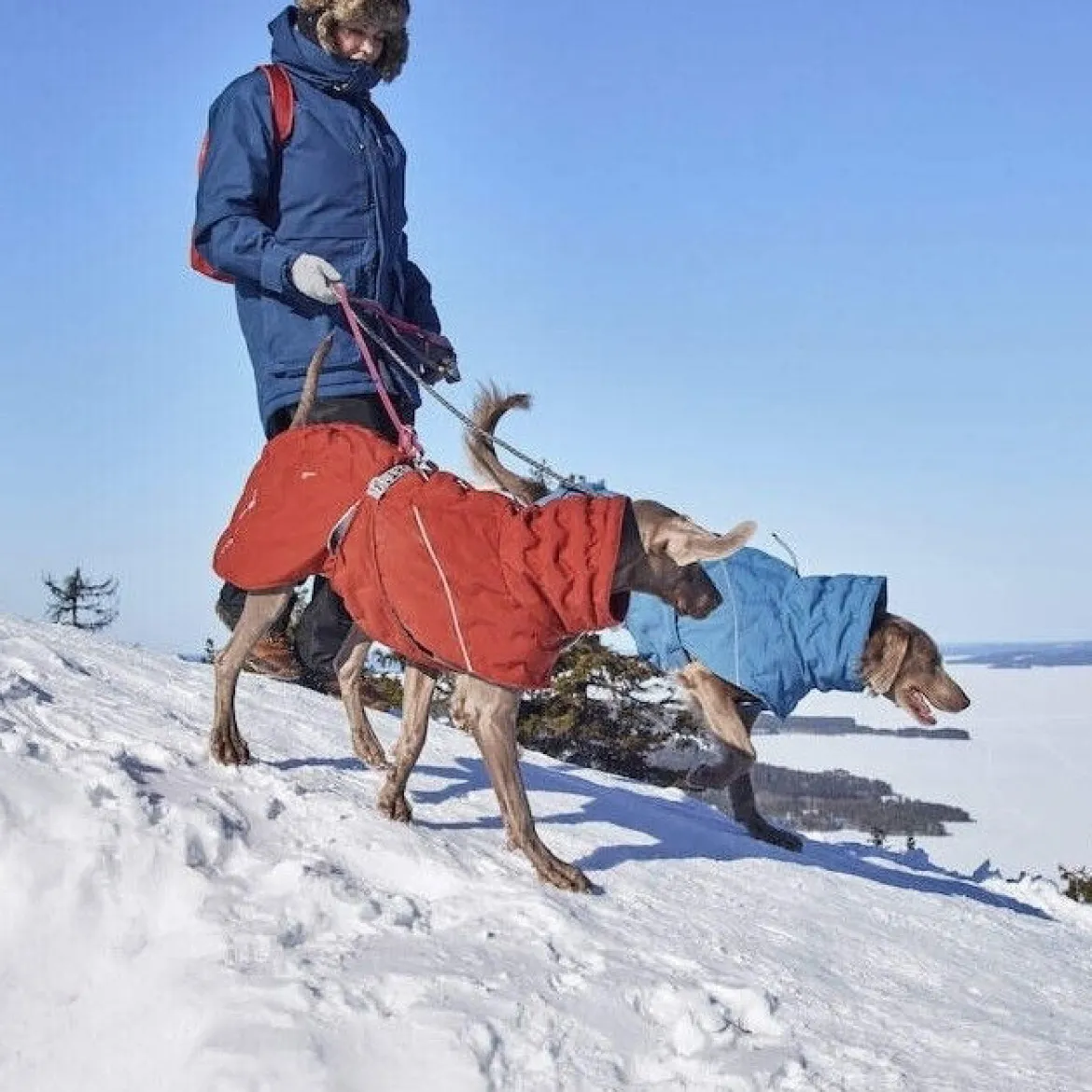 Hurtta Extreme Warmer III ECO koiran lämpötakki, kaneli