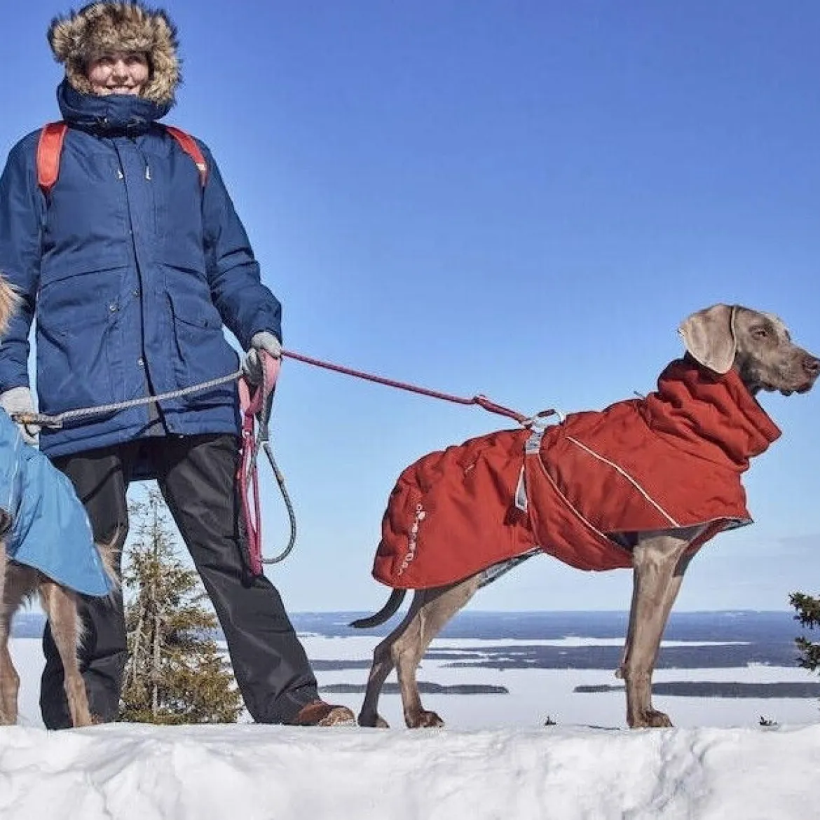 Hurtta Extreme Warmer III ECO koiran lämpötakki, kaneli