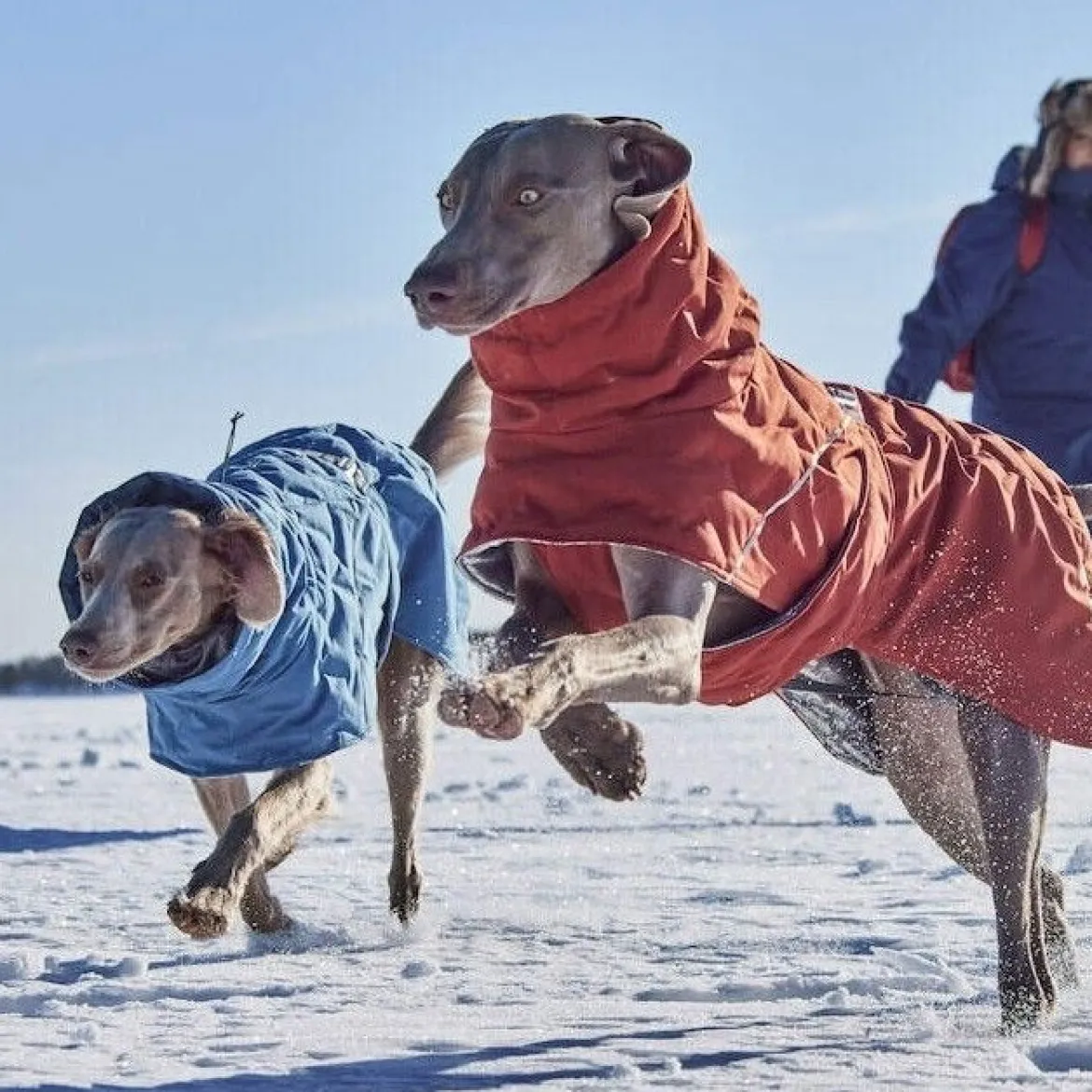 Hurtta Extreme Warmer III ECO koiran lämpötakki, kaneli