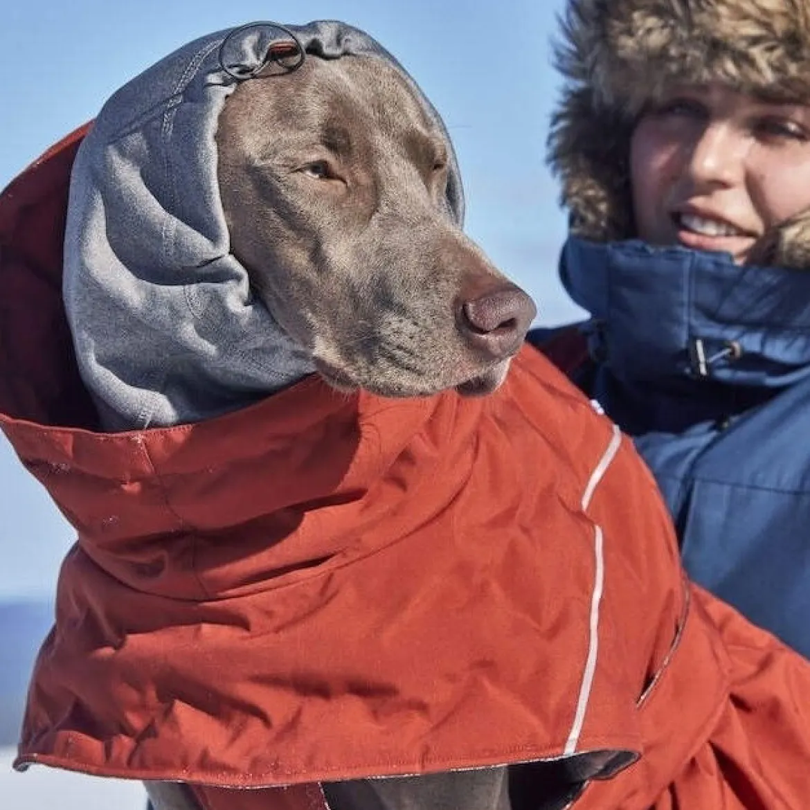 Hurtta Extreme Warmer III ECO koiran lämpötakki, kaneli