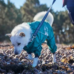 Hurtta Mudventure ECO -koiran sadehaalari, riikinkukko