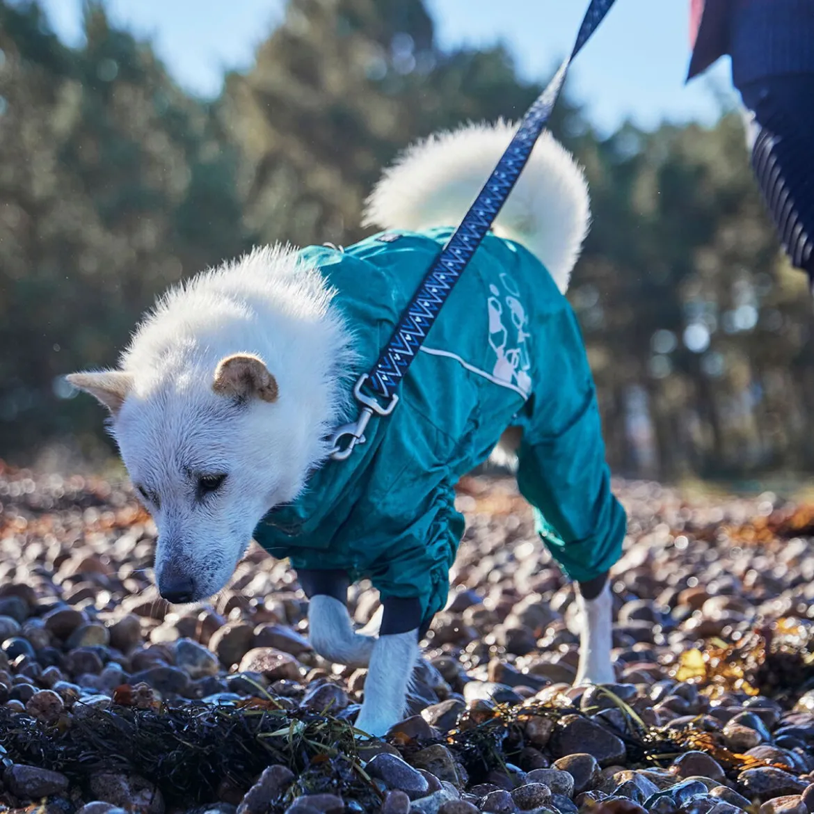 Hurtta Mudventure ECO -koiran sadehaalari, riikinkukko