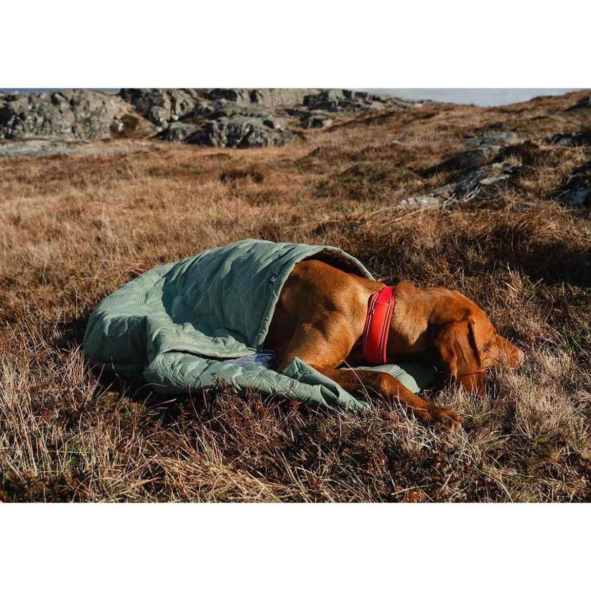 Hurtta Outback Dreamer koiran makuupussi ECO