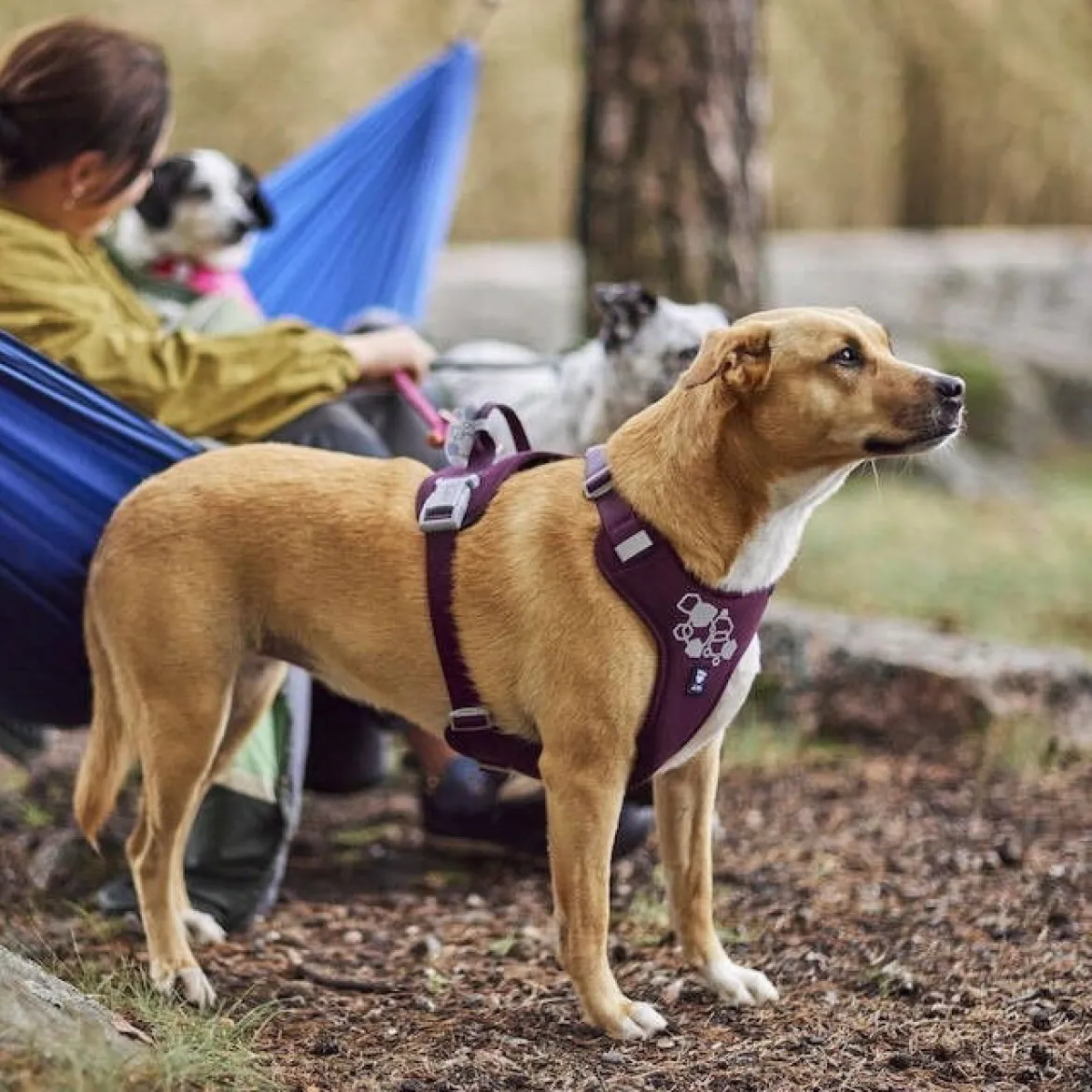 Hurtta Weekend Warrior II ECO valjas, munakoiso