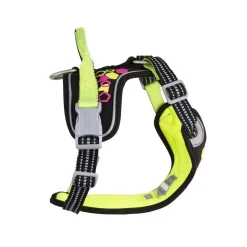 Hurtta Weekend Warrior Neon-valjaat, lakritsi