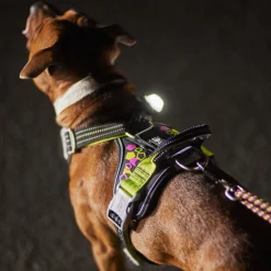 Hurtta Weekend Warrior Neon-valjaat, lakritsi