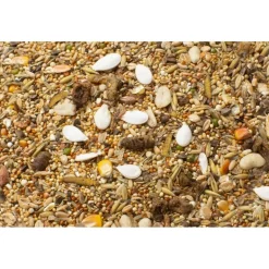 JR Farm Basic kääpiöhamsteri 600g
