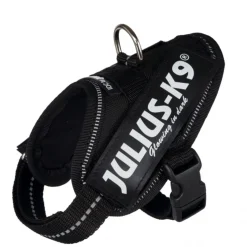 Julius-K9® IDC Power valjaat Mini, musta