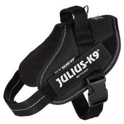 Julius-K9® IDC Power valjaat Mini, musta