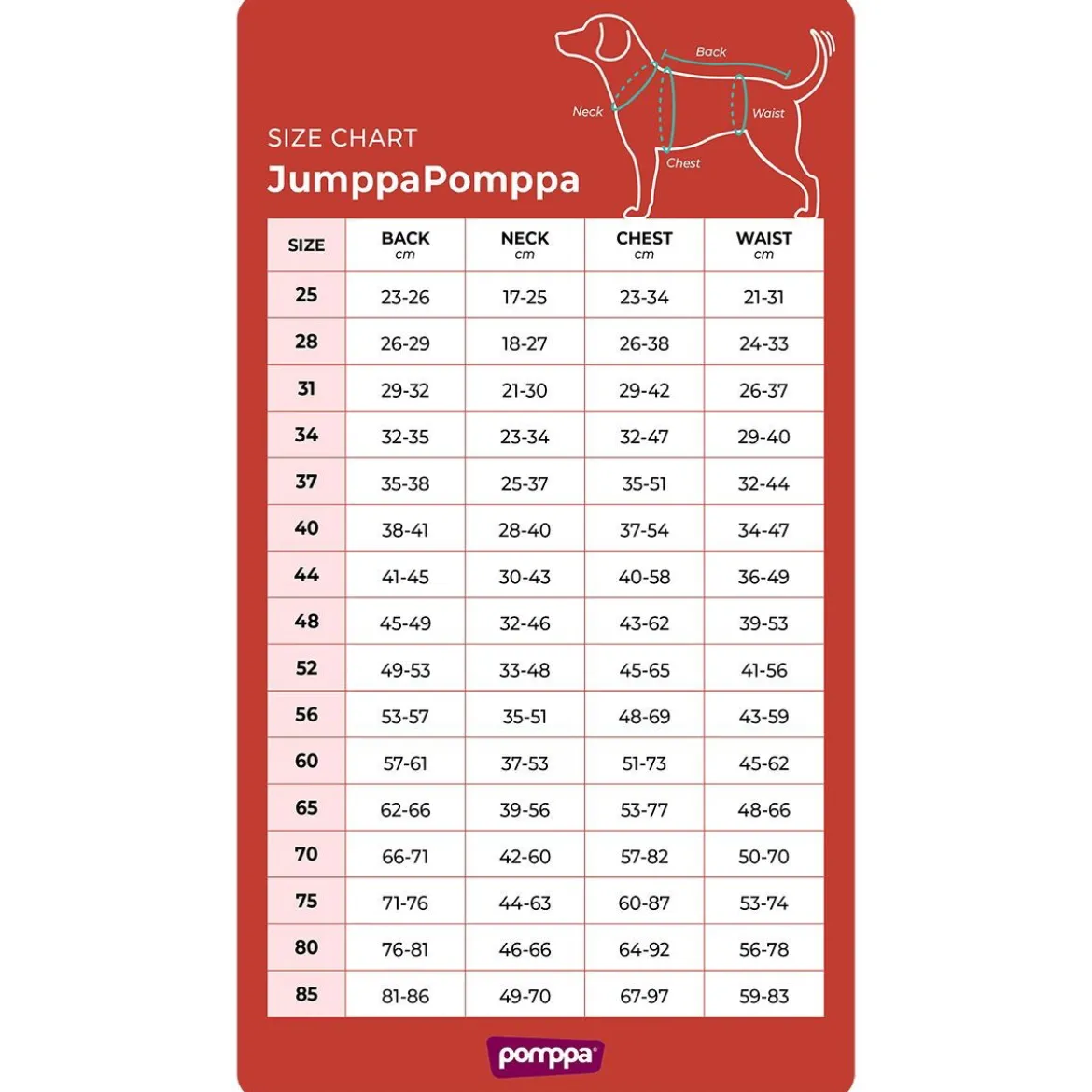 JumppaPomppa Midnight