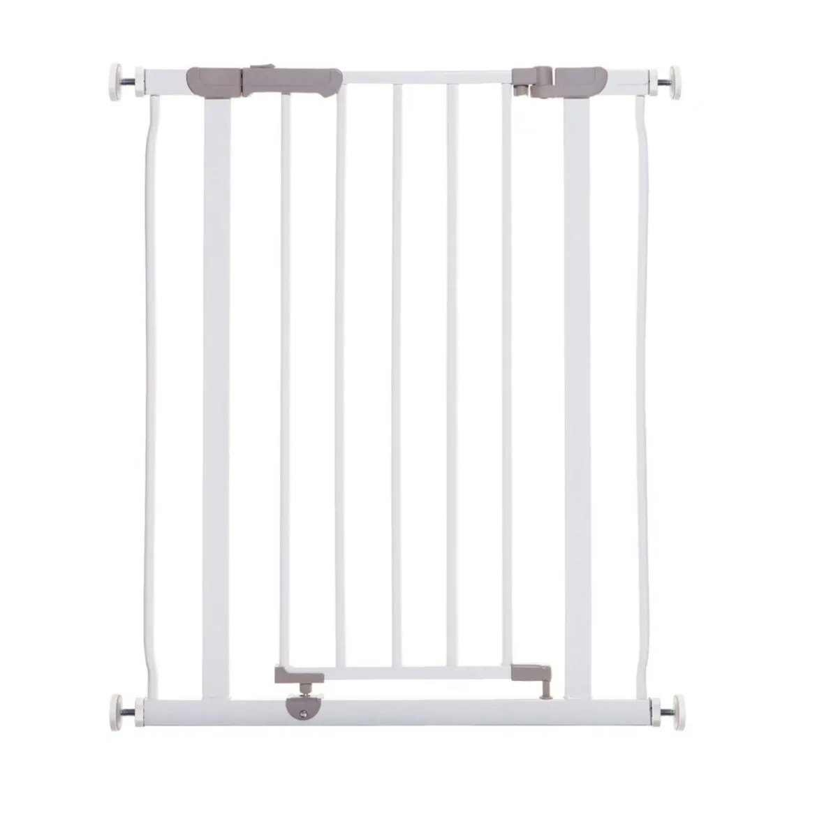 Kapea koiraportti Basic Sturdy Basic Sturdy