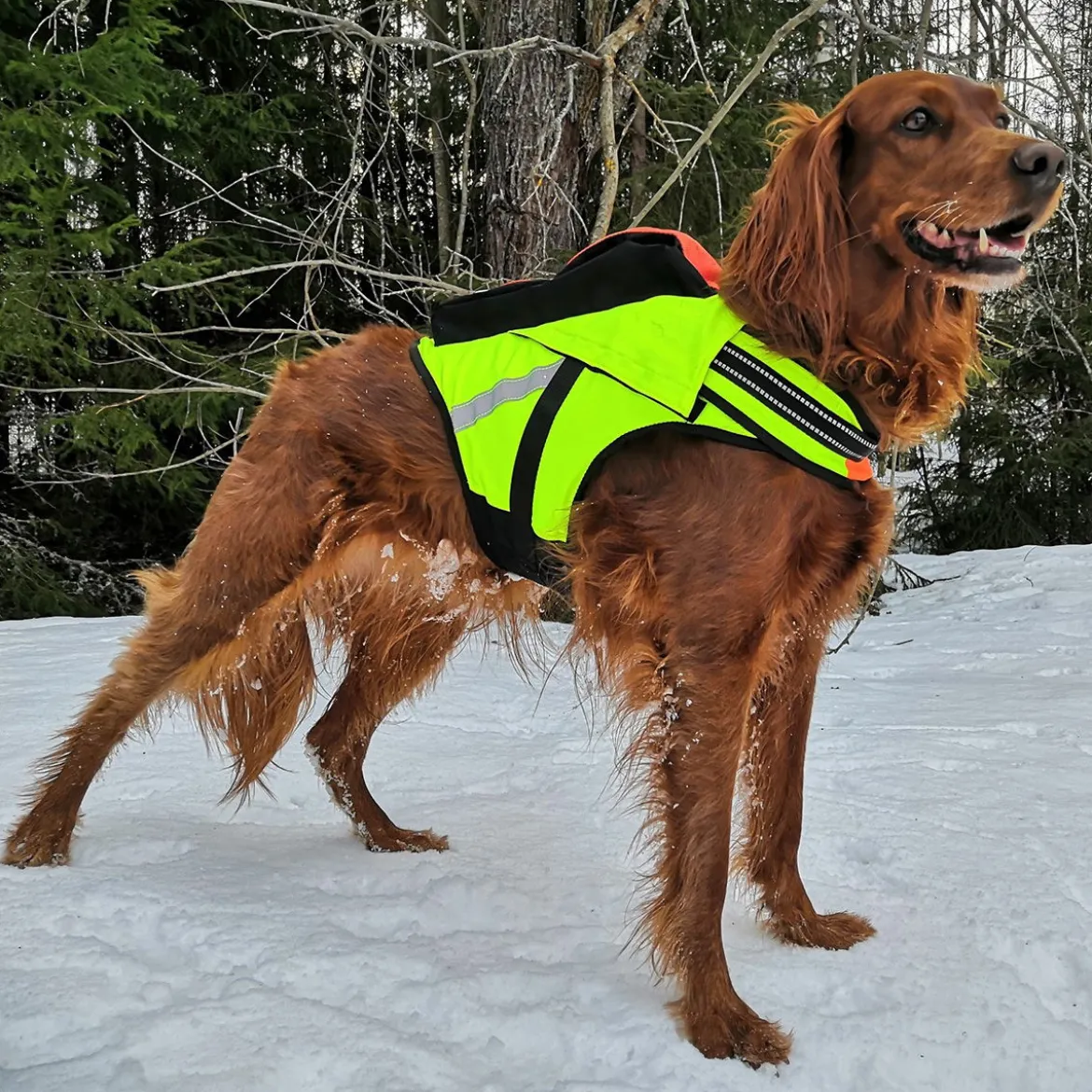 Kardog-kelluttava GPS-liivi Jehu