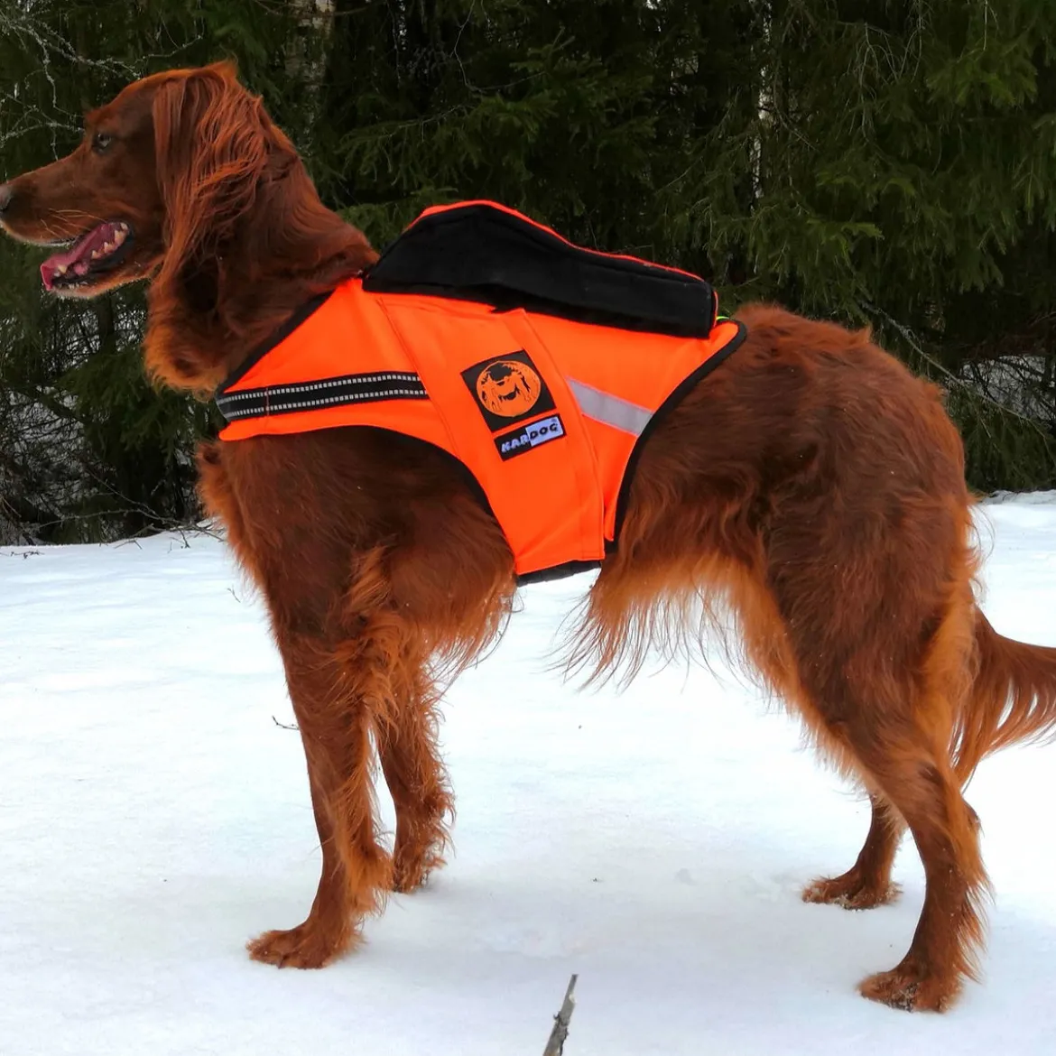 Kardog-kelluttava GPS-liivi Jehu